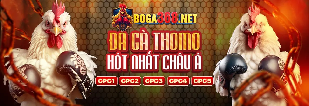 Hình ảnh cổng đăng nhập FC888 an toàn và chính thức